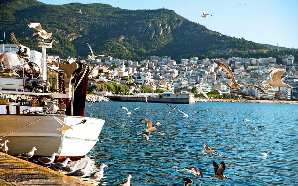 Dimis Kavala